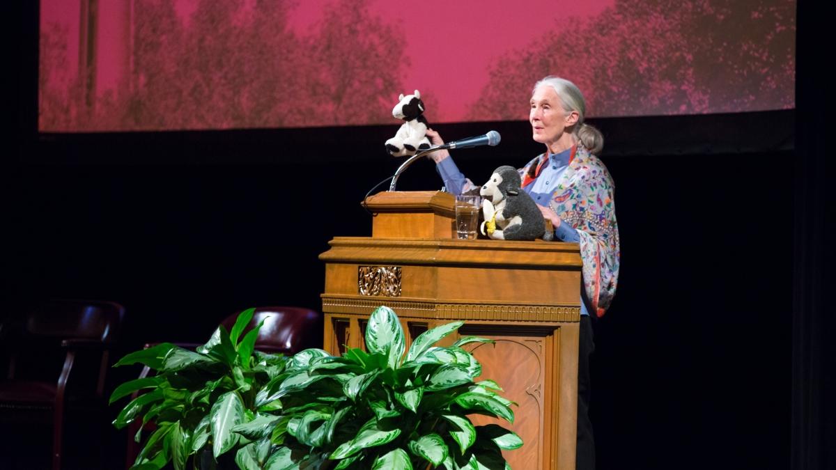 Jane Goodall holds a stuffed gorilla during a lecture in Laurie Auditorium